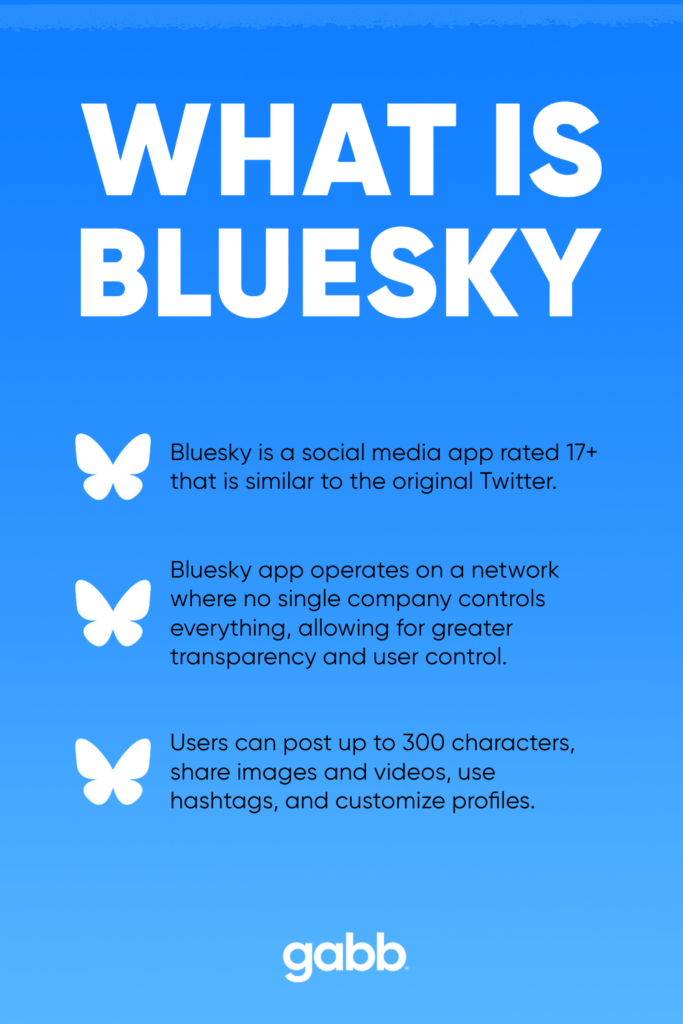 What is bluesky app infographic