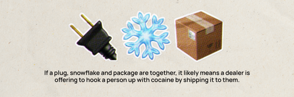 plug snowflake and package emojis together mean connecting someone to cocaine and shipping it to them